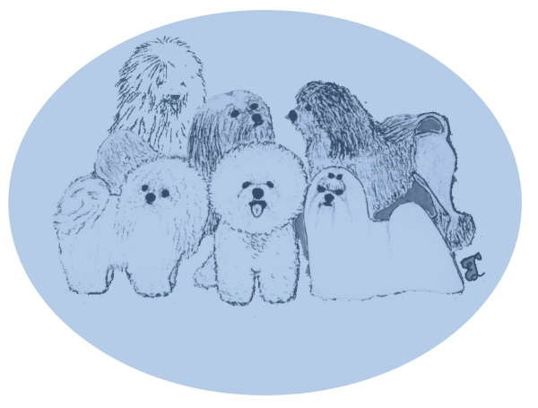 embleem bichon